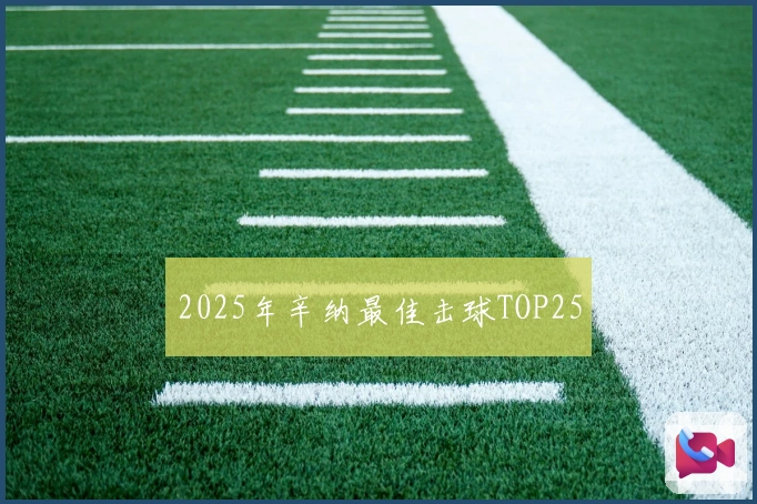2025年辛纳最佳击球TOP25