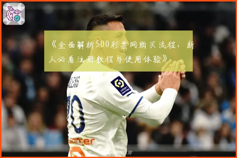 《全面解析500彩票网购买流程，新人必看注册教程与使用体验》