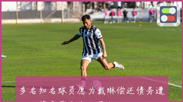 多名知名球员愿为戴琳偿还债务遭拒：债务需由本人承担