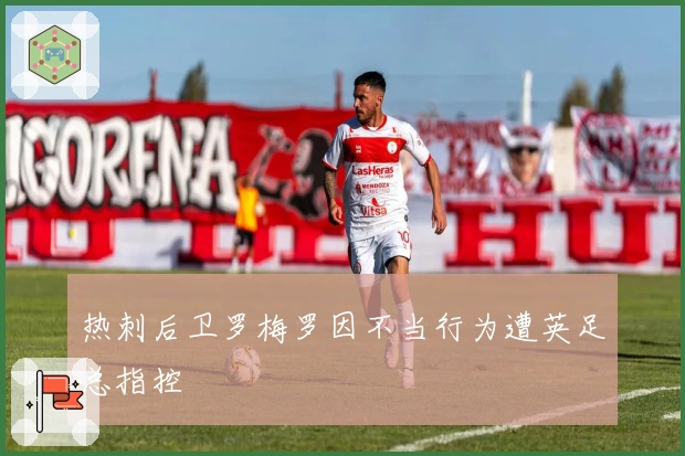 热刺后卫罗梅罗因不当行为遭英足总指控