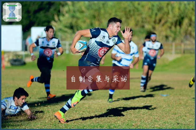 自制合集与采访