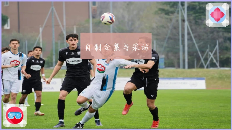 自制合集与采访