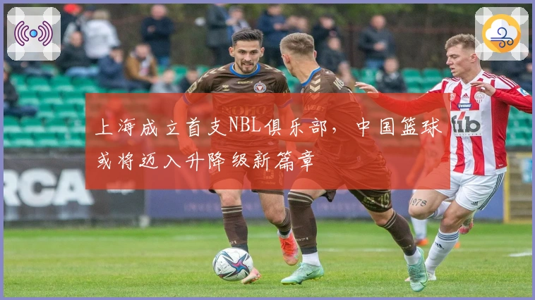 上海成立首支NBL俱乐部，中国篮球或将迈入升降级新篇章